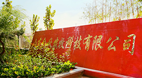 關于圣德保